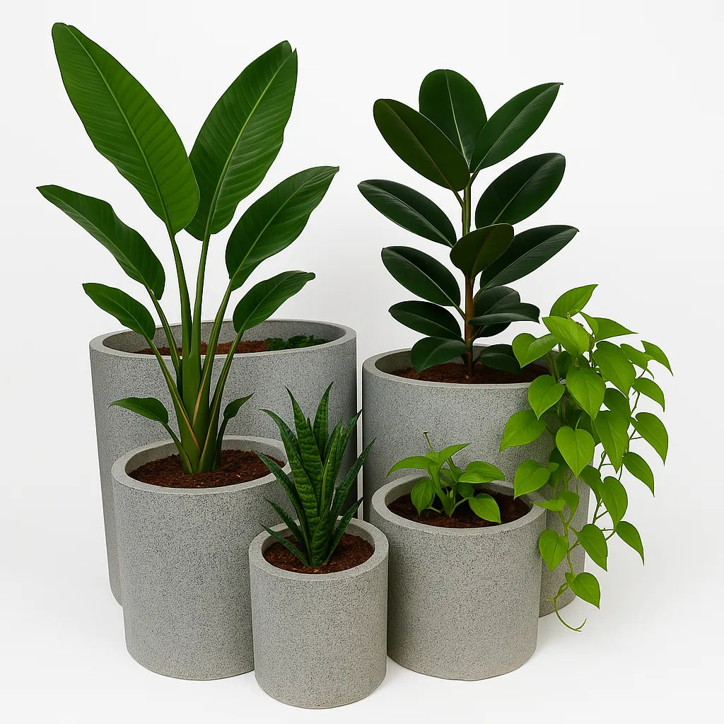 Luxe Concrete Grey Round Terrazzo Planters - Large Set / Individual Pots