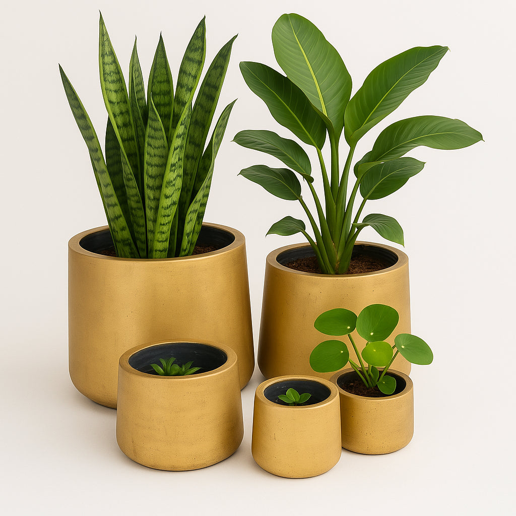 Luxe Gold Round Concrete Planters - Indoor / Outdoor Pot or Set of 4