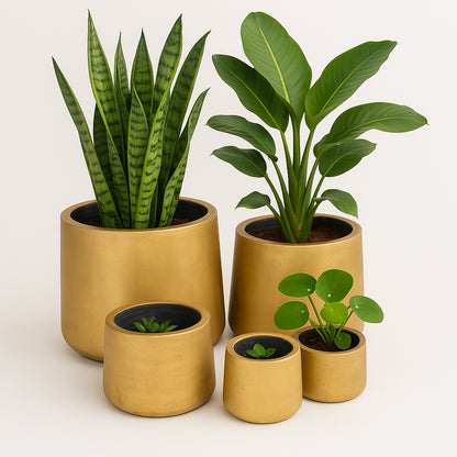 Luxe Gold Round Concrete Planters - Indoor / Outdoor Pot or Set of 4