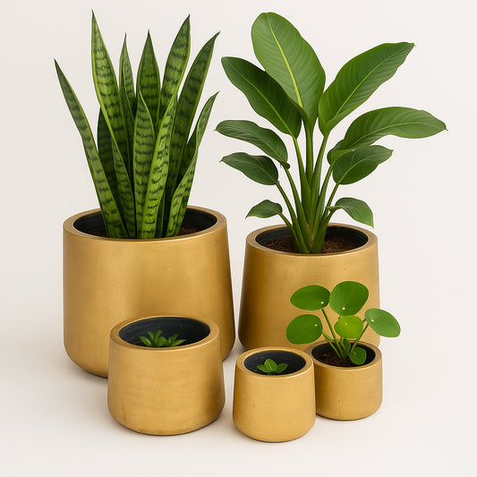Luxe Gold Round Concrete Planters - Indoor / Outdoor Pot or Set of 4